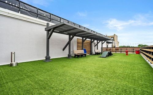 Rooftop Dog Park